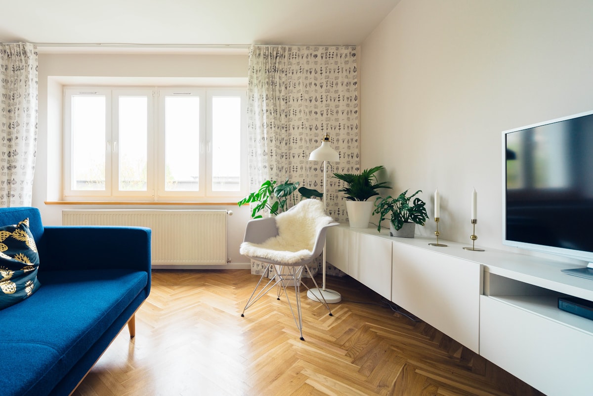 Comfortable living room after interior improvement